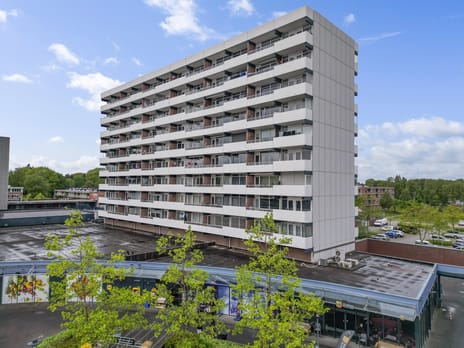 Houtweg thumbnail
