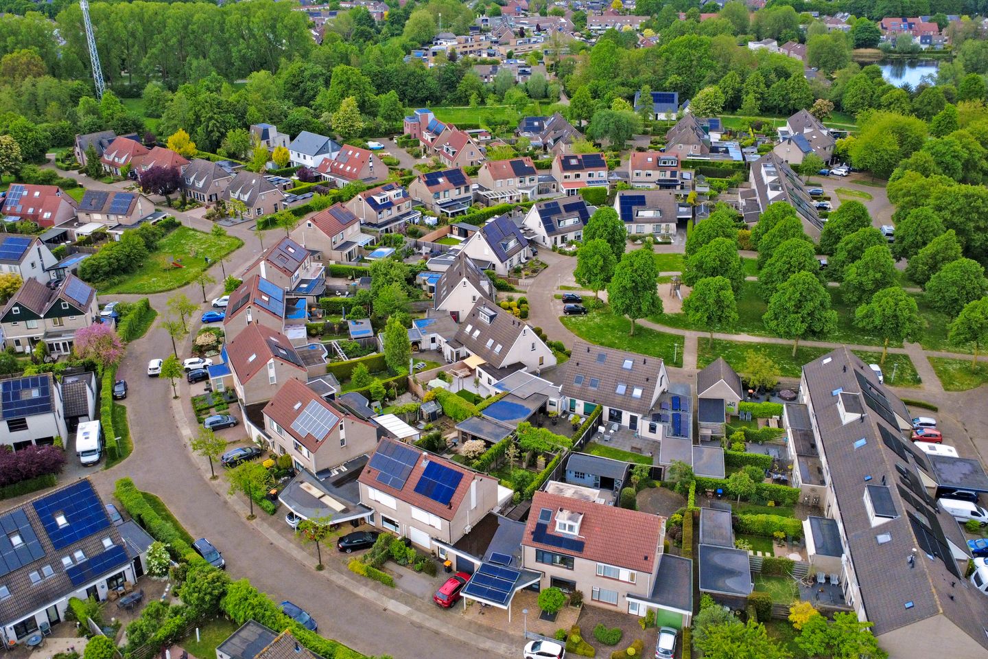 Foto 64 van de Aalbes 5