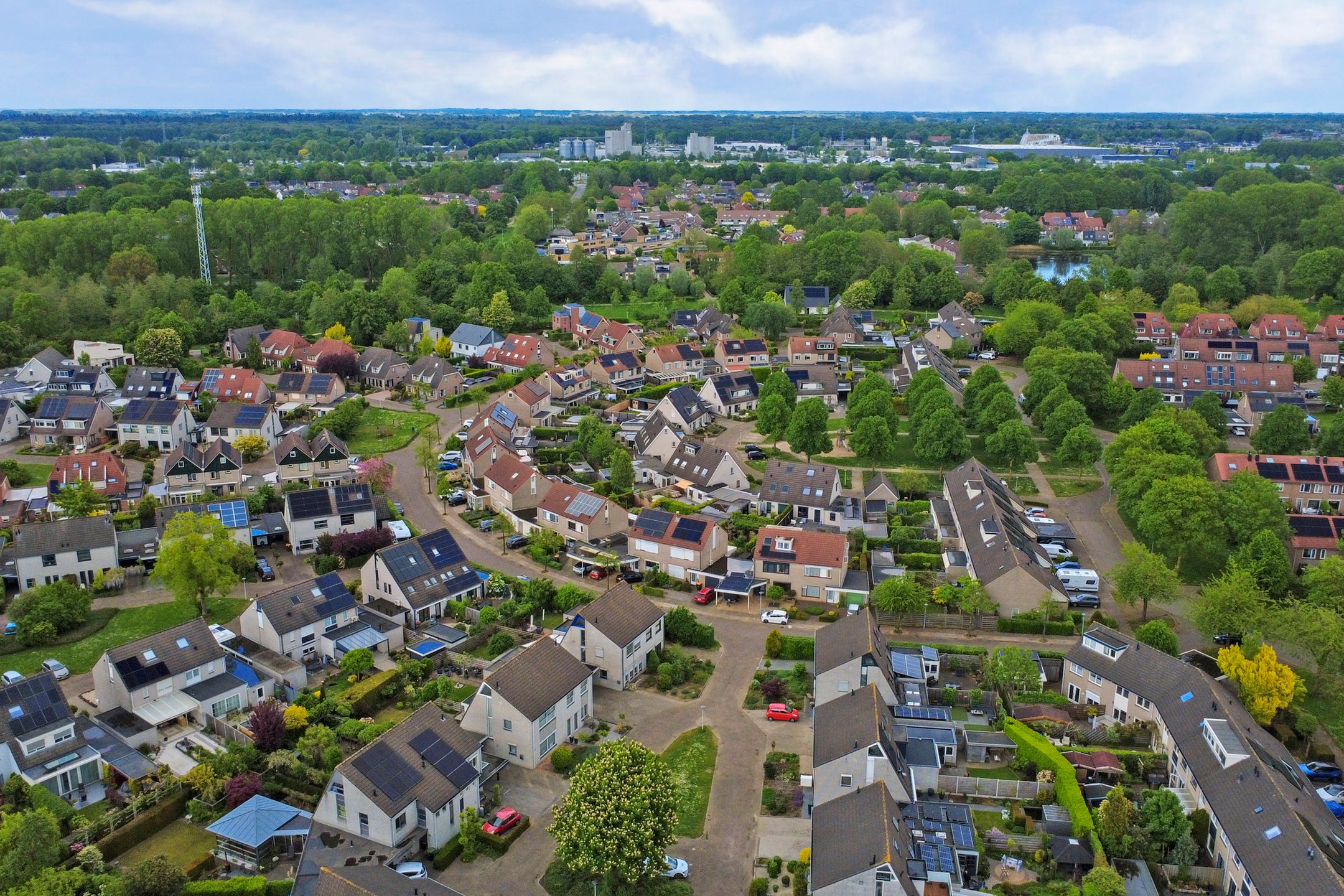 Foto 66 van de Aalbes 5