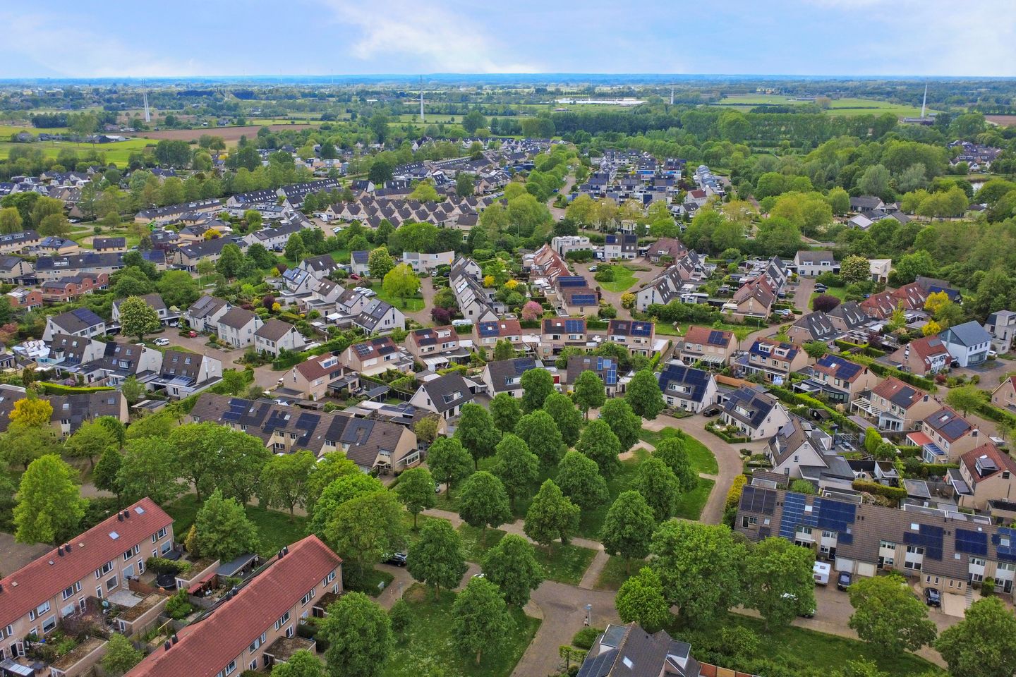 Foto 65 van de Aalbes 5