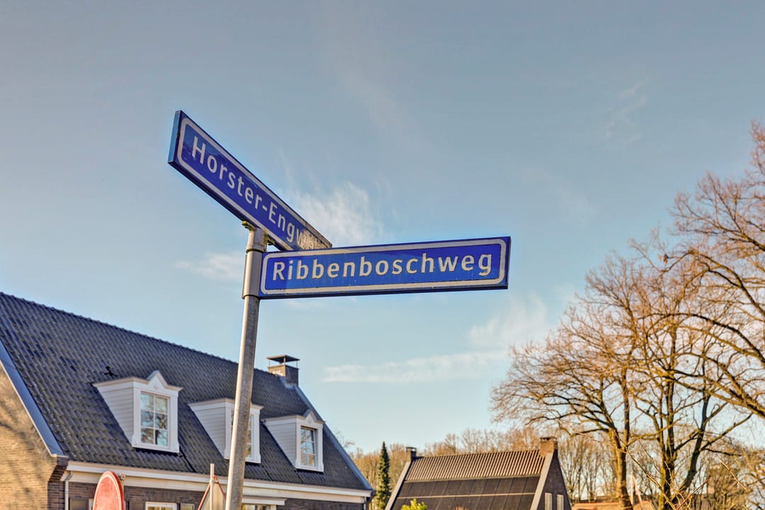 Foto 43 van Ribbenboschweg 24