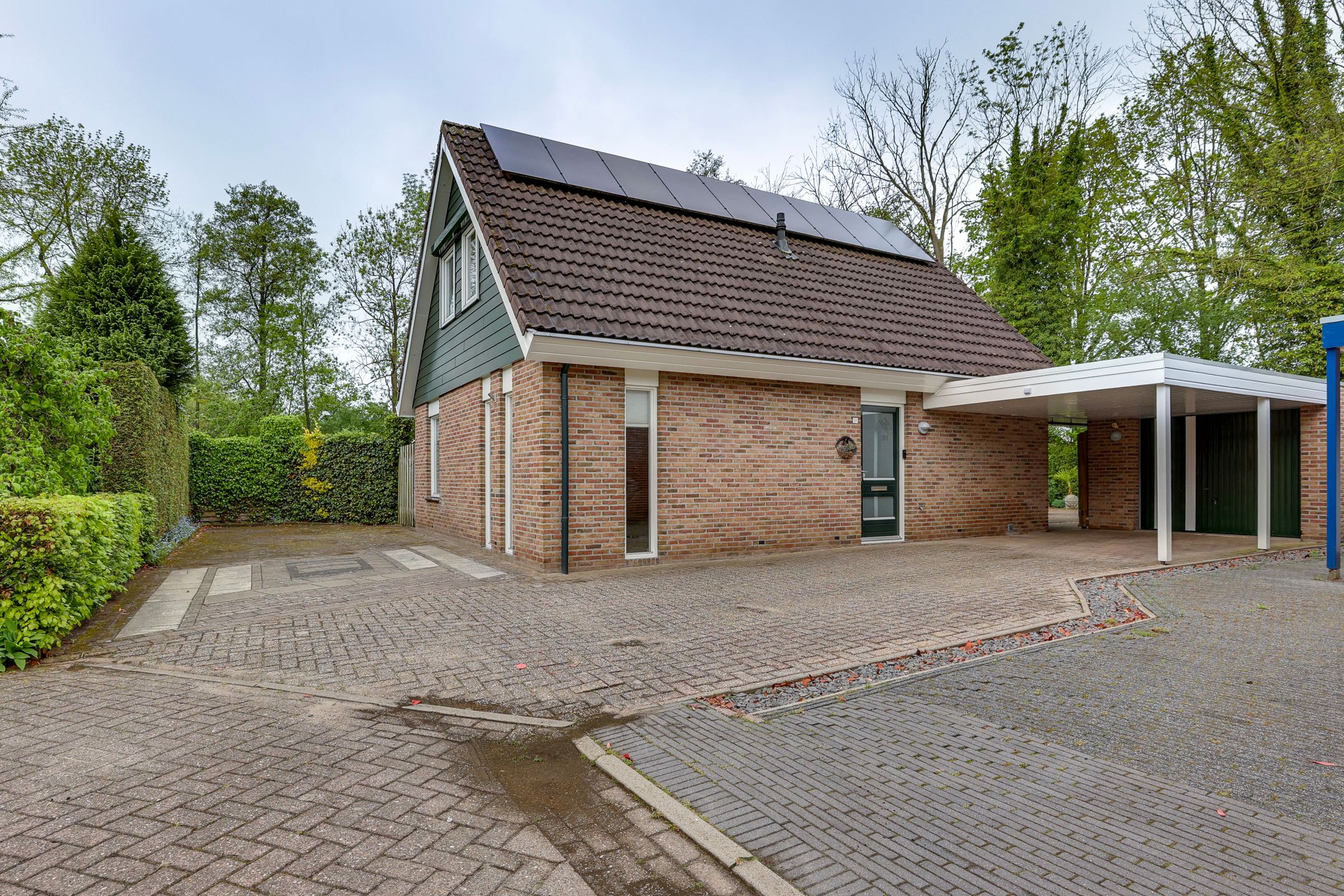 Foto 45 van het Bivank 31
