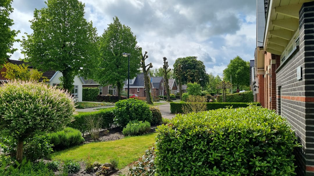 Photo 56 of Burgemeester Drijberweg 36