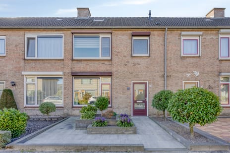 Antoon Coolenstraat thumbnail