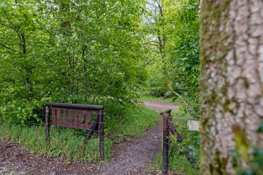 Foto 41 van Koekangerveldweg 34