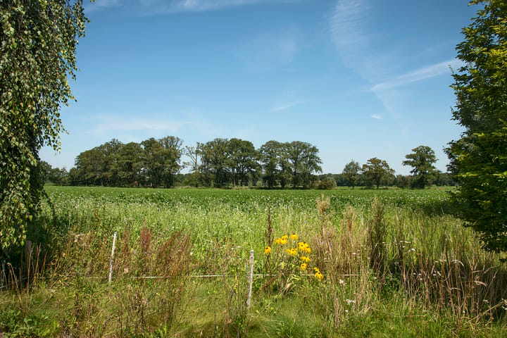 Foto 2 van Kortenroelefsweg 2