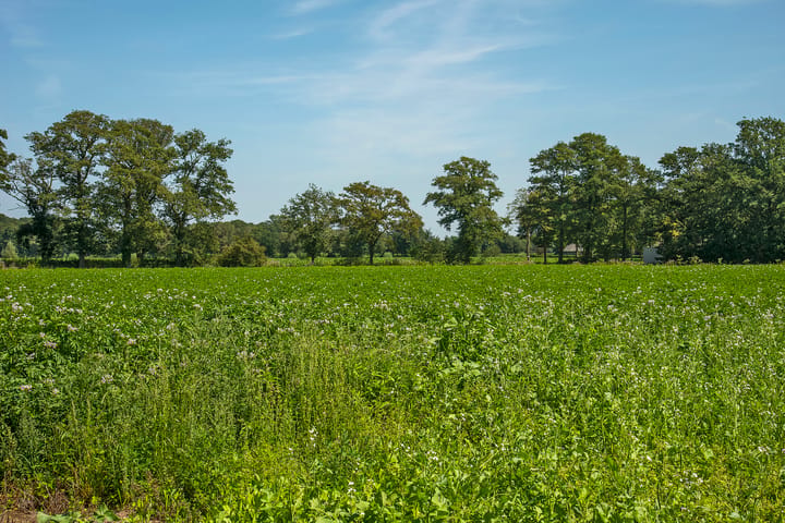 Foto 4 van Kortenroelefsweg 2