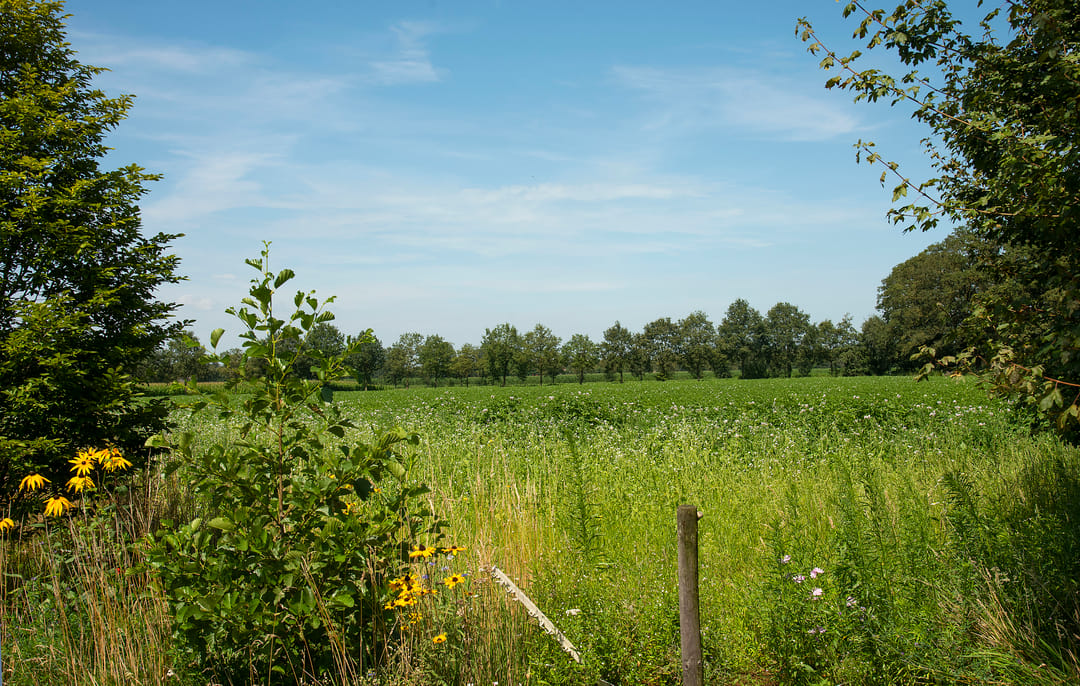 Foto 1 van Kortenroelefsweg 2