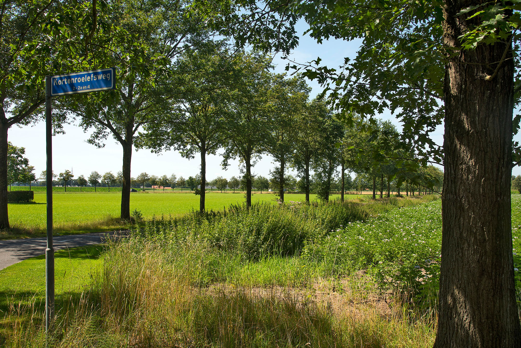 Foto 15 van Kortenroelefsweg 2
