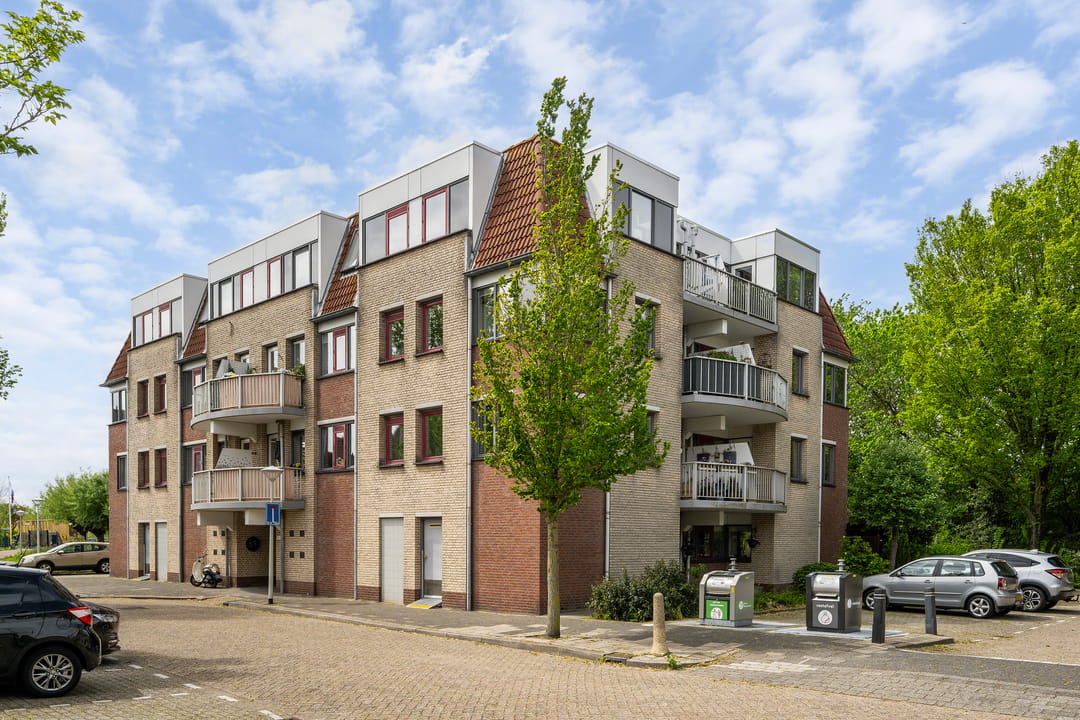 Foto 1 van Zeekoet 46