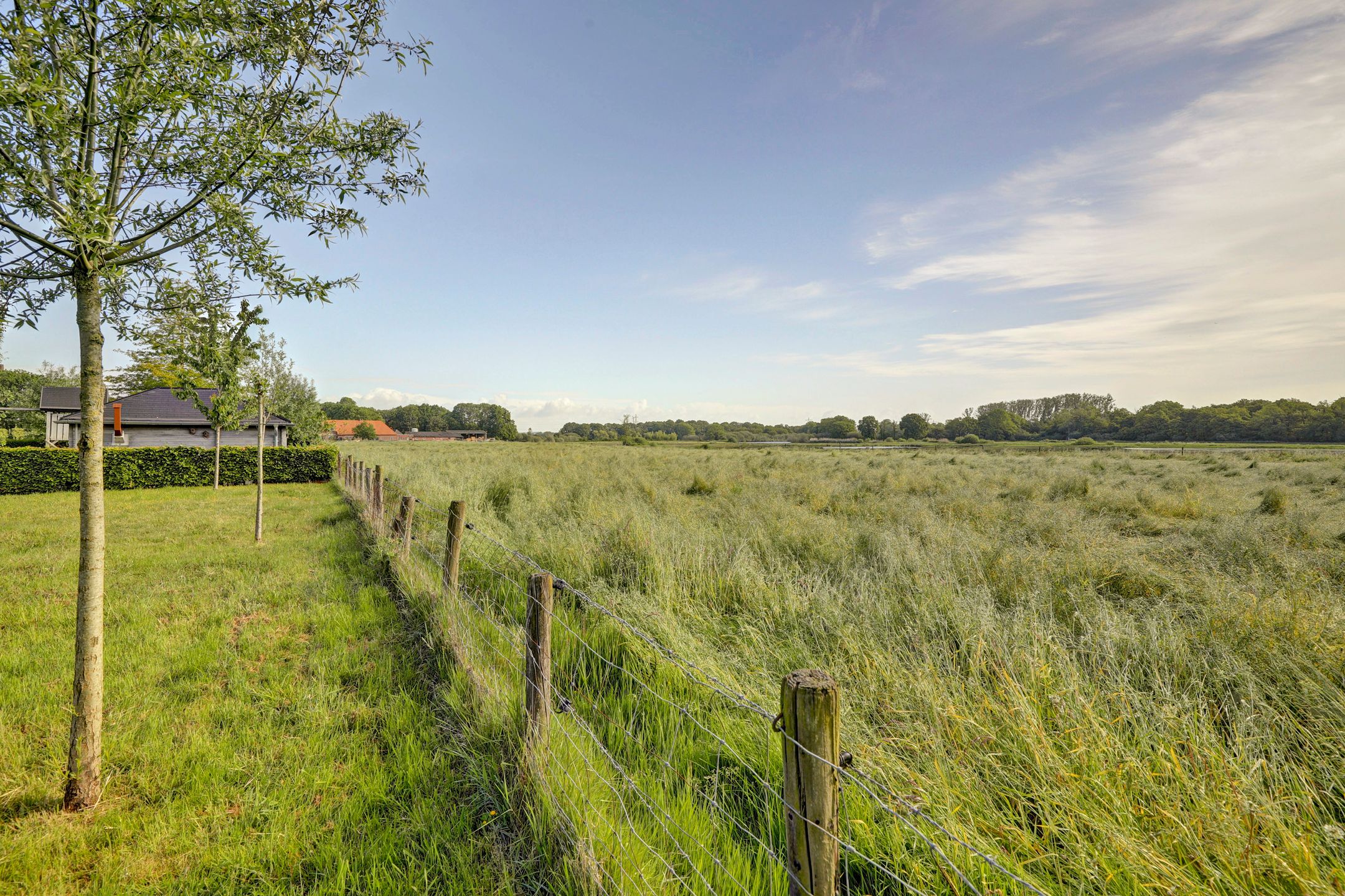 Photo 69 of Haart 3