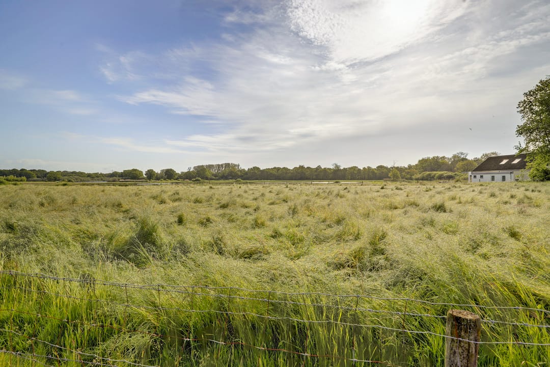 Photo 68 of Haart 3