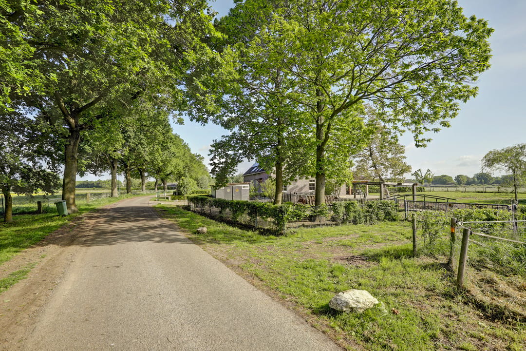 Photo 8 of Haart 3