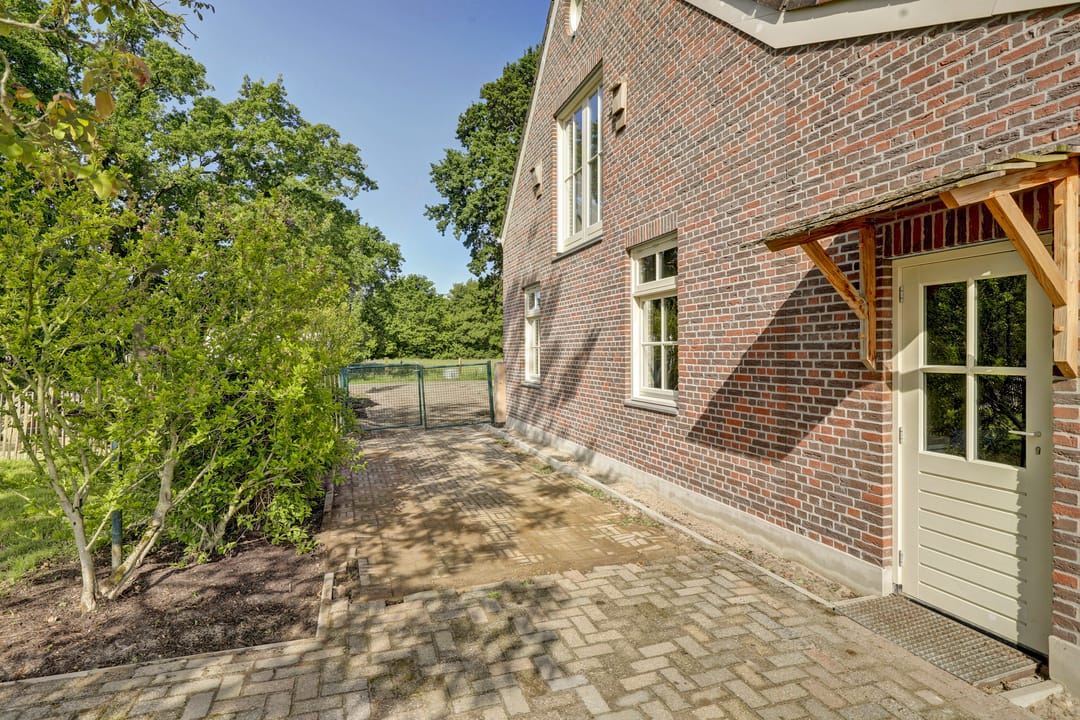 Photo 61 of Haart 3