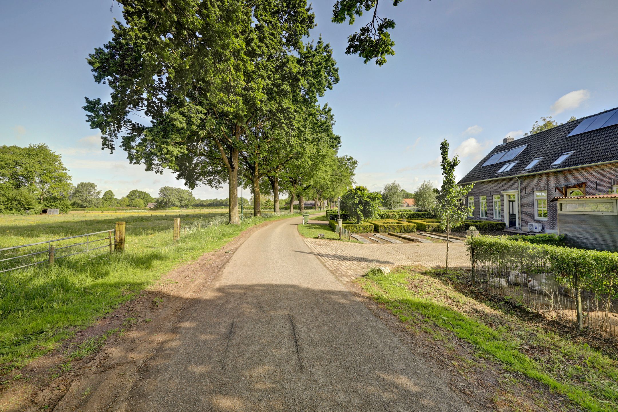 Photo 9 of Haart 3