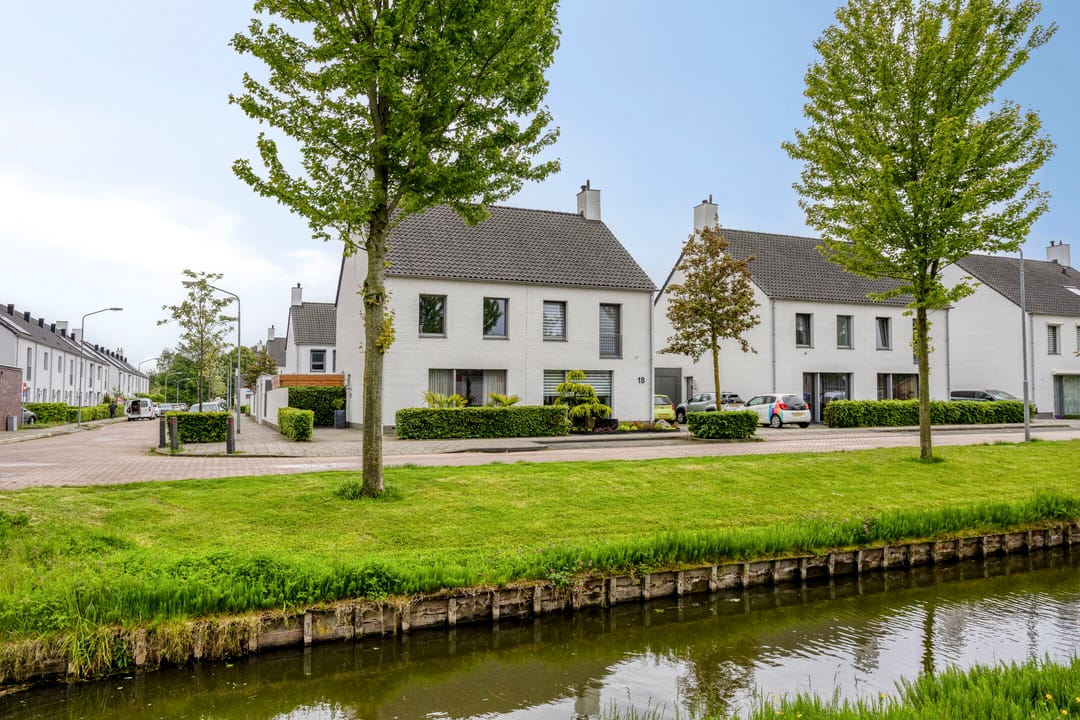 Photo 1 of Goudreinet 20