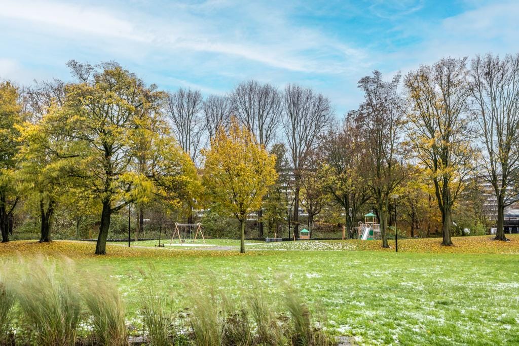 Photo 16 of Hogevecht 160