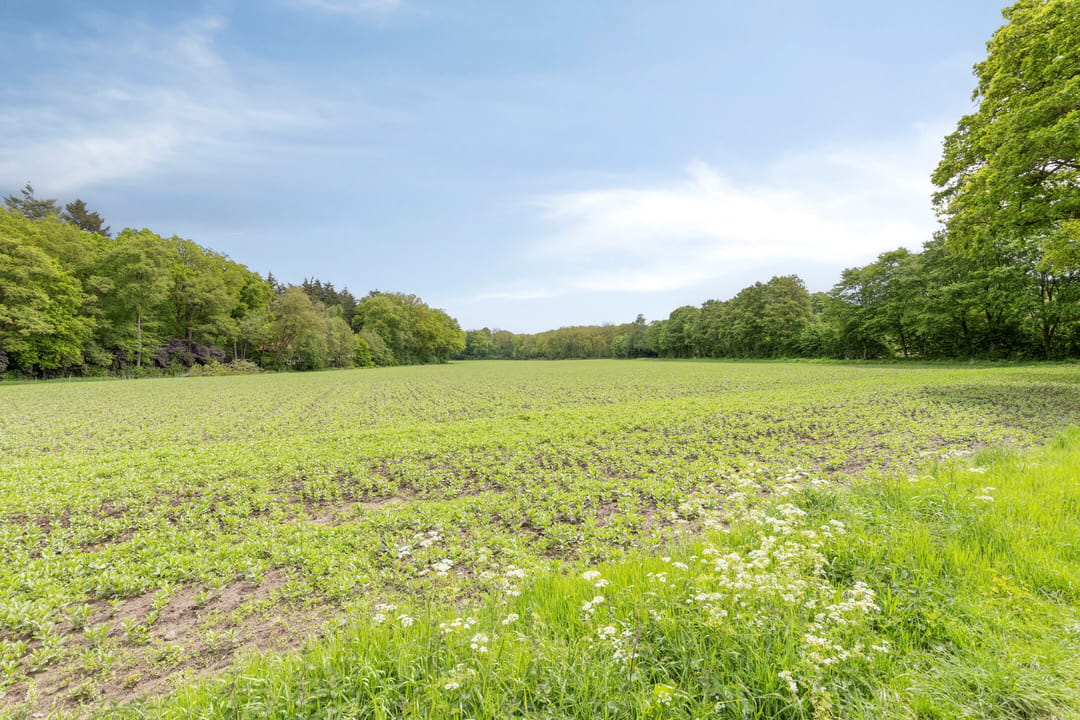 Photo 23 of Rozenvoorderdijk 4-B