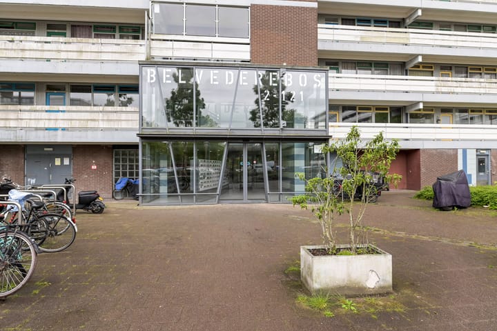 Foto 5 van Belvédèrebos 60