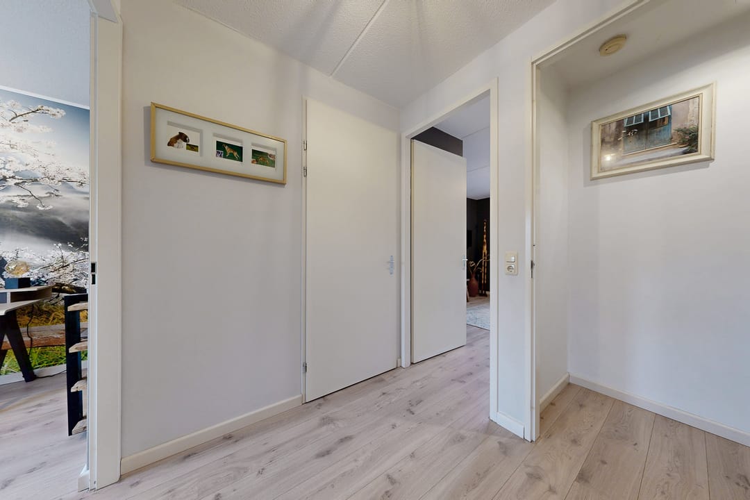 Foto 43 van Vuurvlinder 17