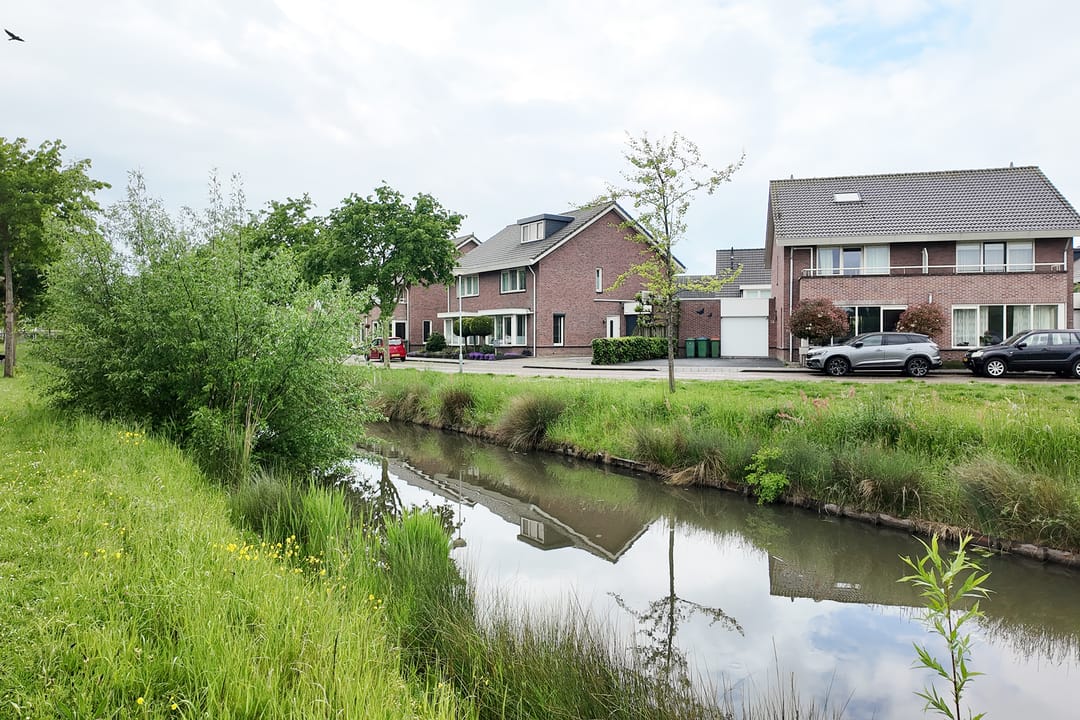 Foto 2 van Vuurvlinder 17