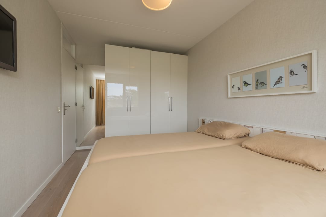 Photo 31 of Zilvermeeuw 39