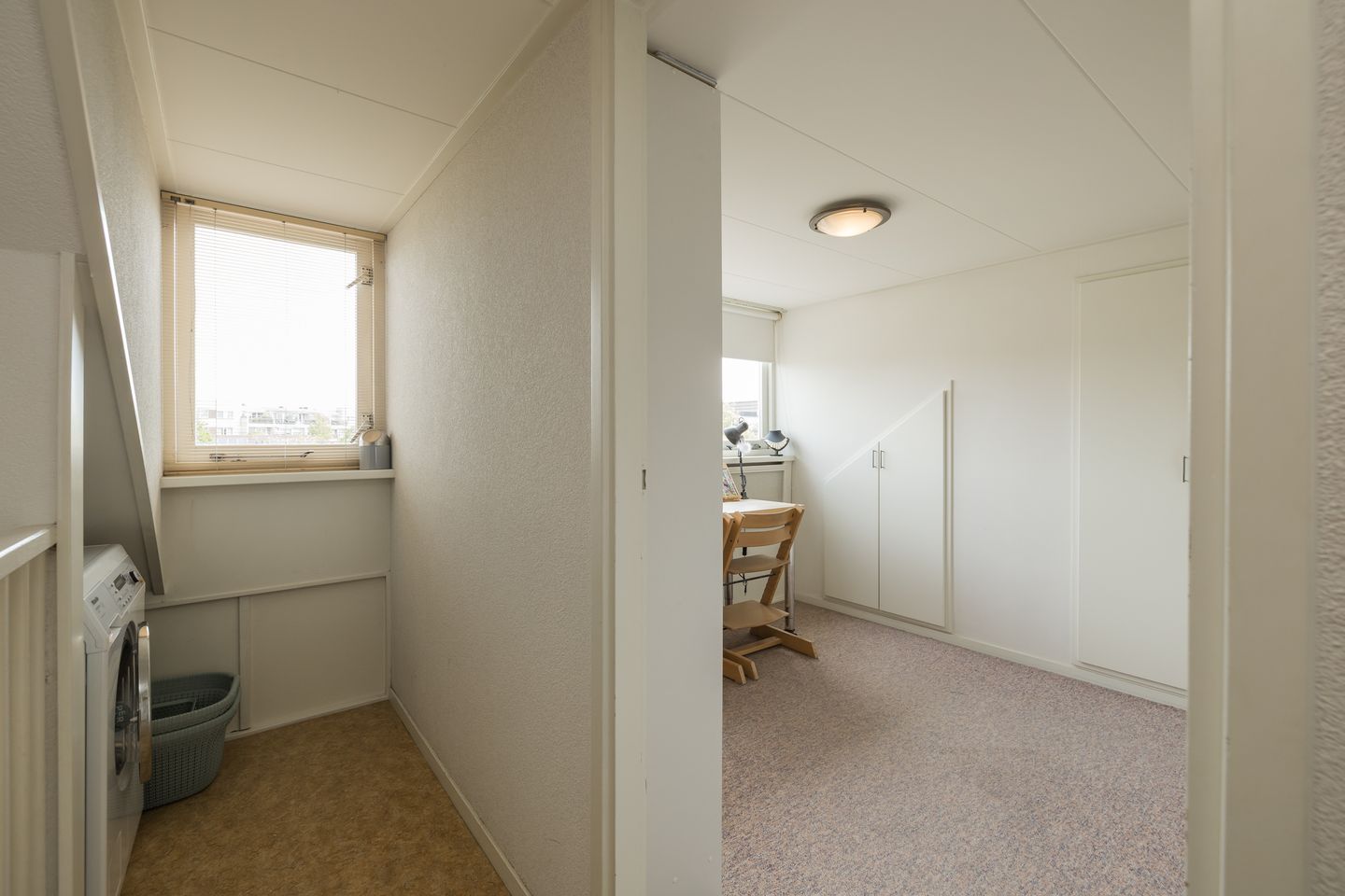 Photo 35 of Zilvermeeuw 39