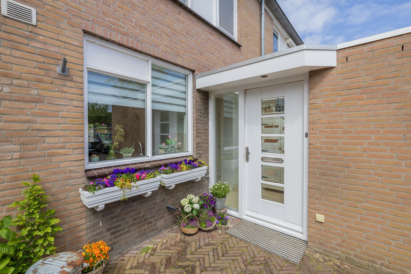 Photo 5 of Zilvermeeuw 39