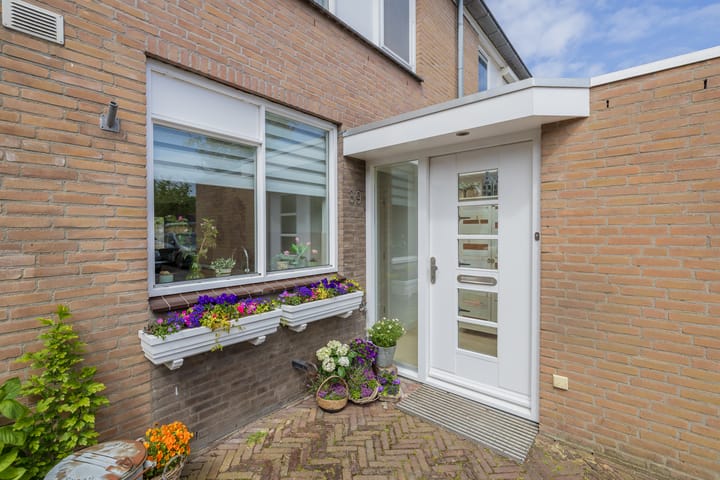 Foto 5 van Zilvermeeuw 39