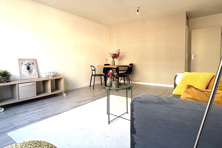 Photo 3 of Blasiusstraat 74-D