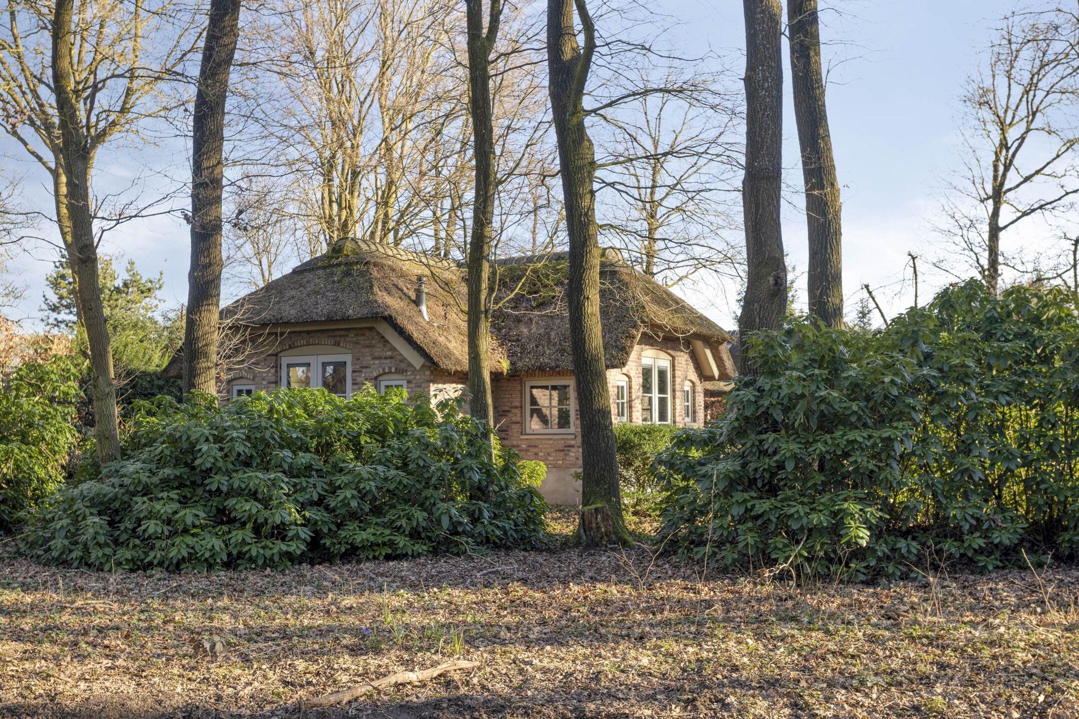 4-bedroom freehold villa in Ermelo — photo 1 of 5
