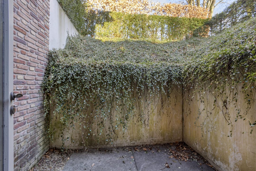 Photo 31 of Tonnenberg 53-V3