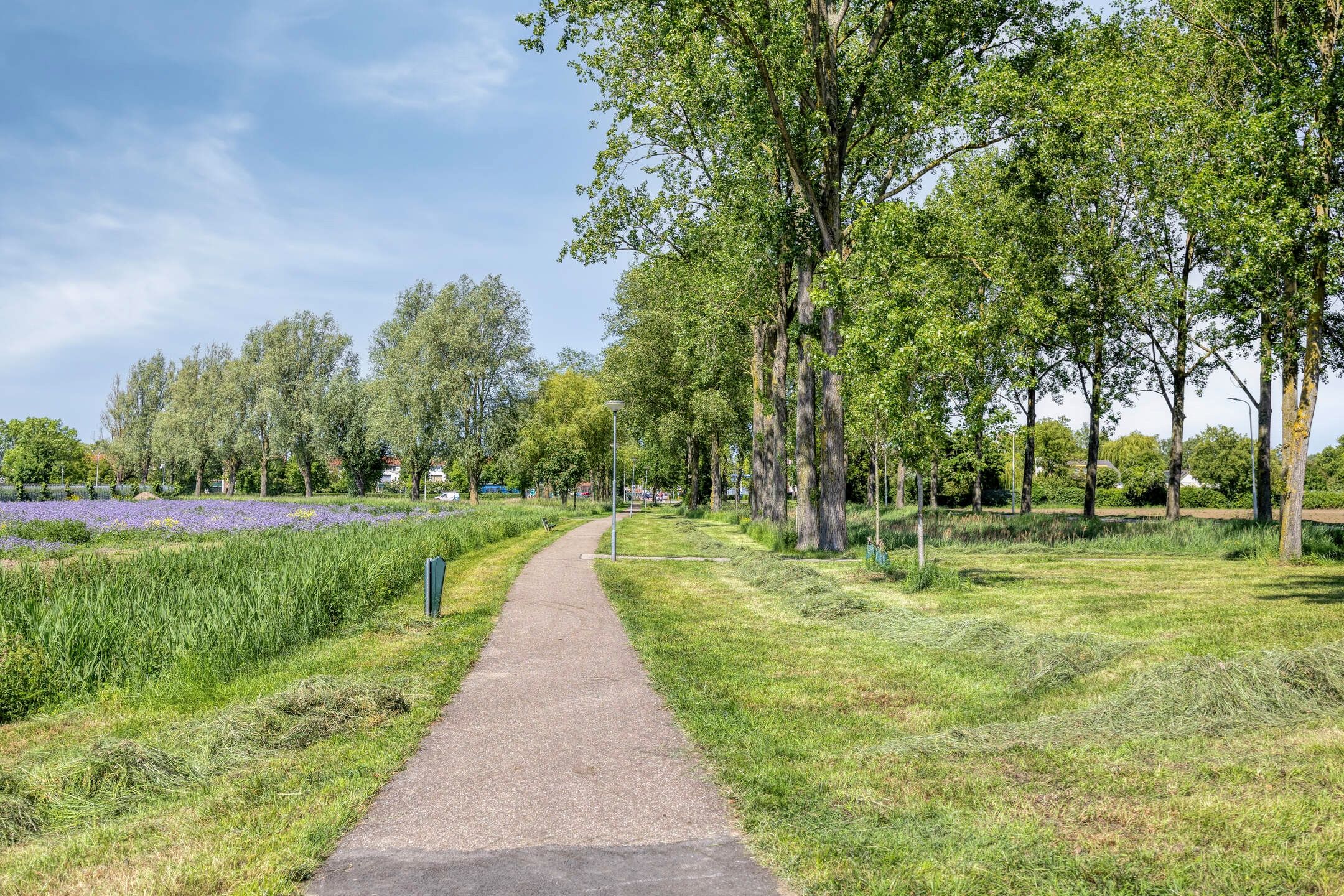 Foto 45 van Zomerweg 55
