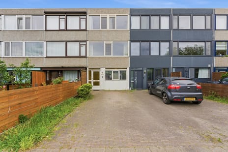 Haakdistel thumbnail