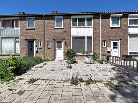 Paulus Potterstraat thumbnail