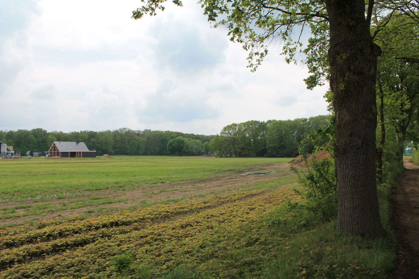 Beukendijk - Westendorp - Afbeelding 3