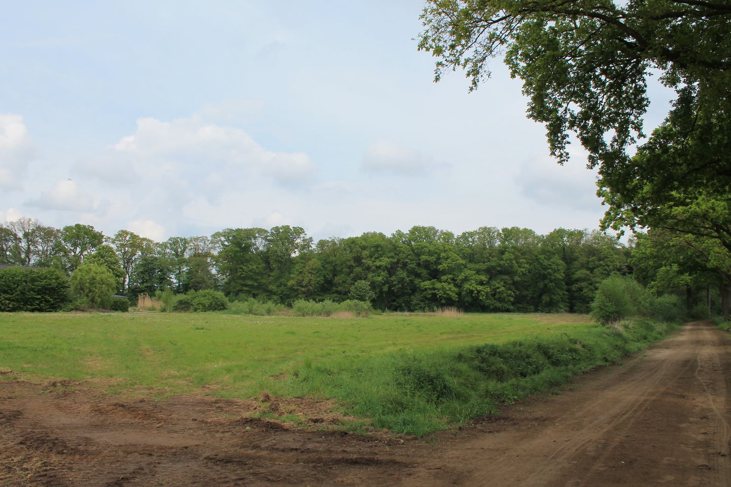 Beukendijk - Westendorp - Afbeelding 5
