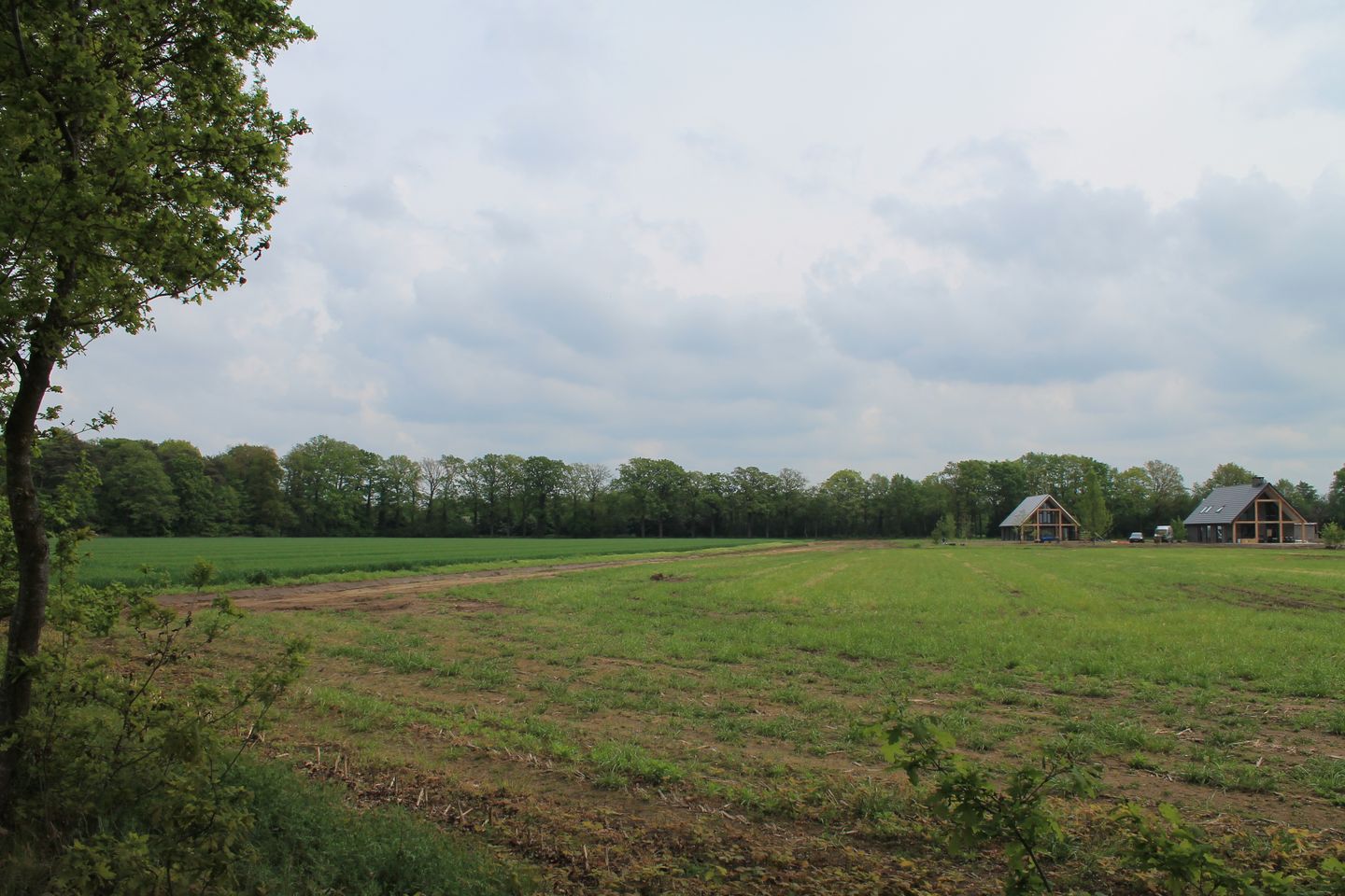 Beukendijk - Westendorp - Afbeelding 4
