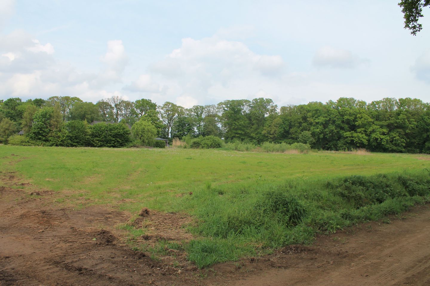 Beukendijk - Westendorp - Afbeelding 7
