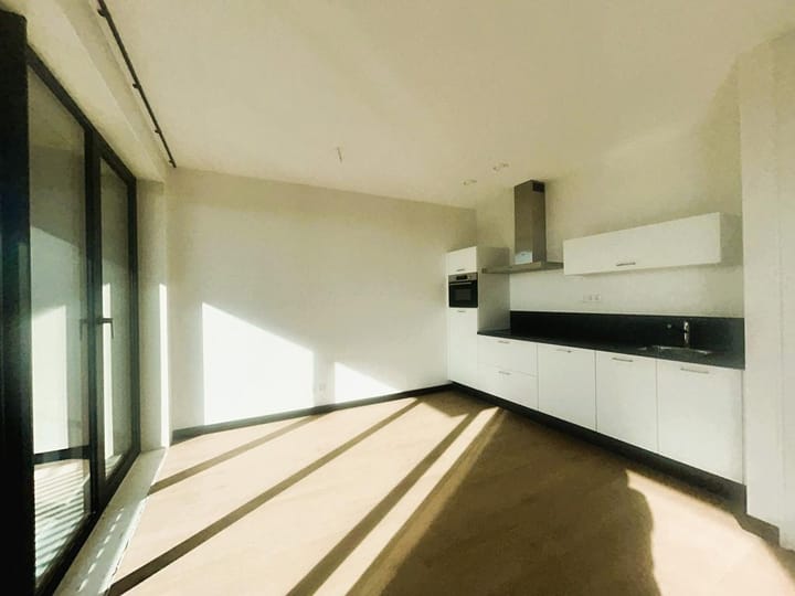 Foto 4 van Mies van der Rohestraat 297