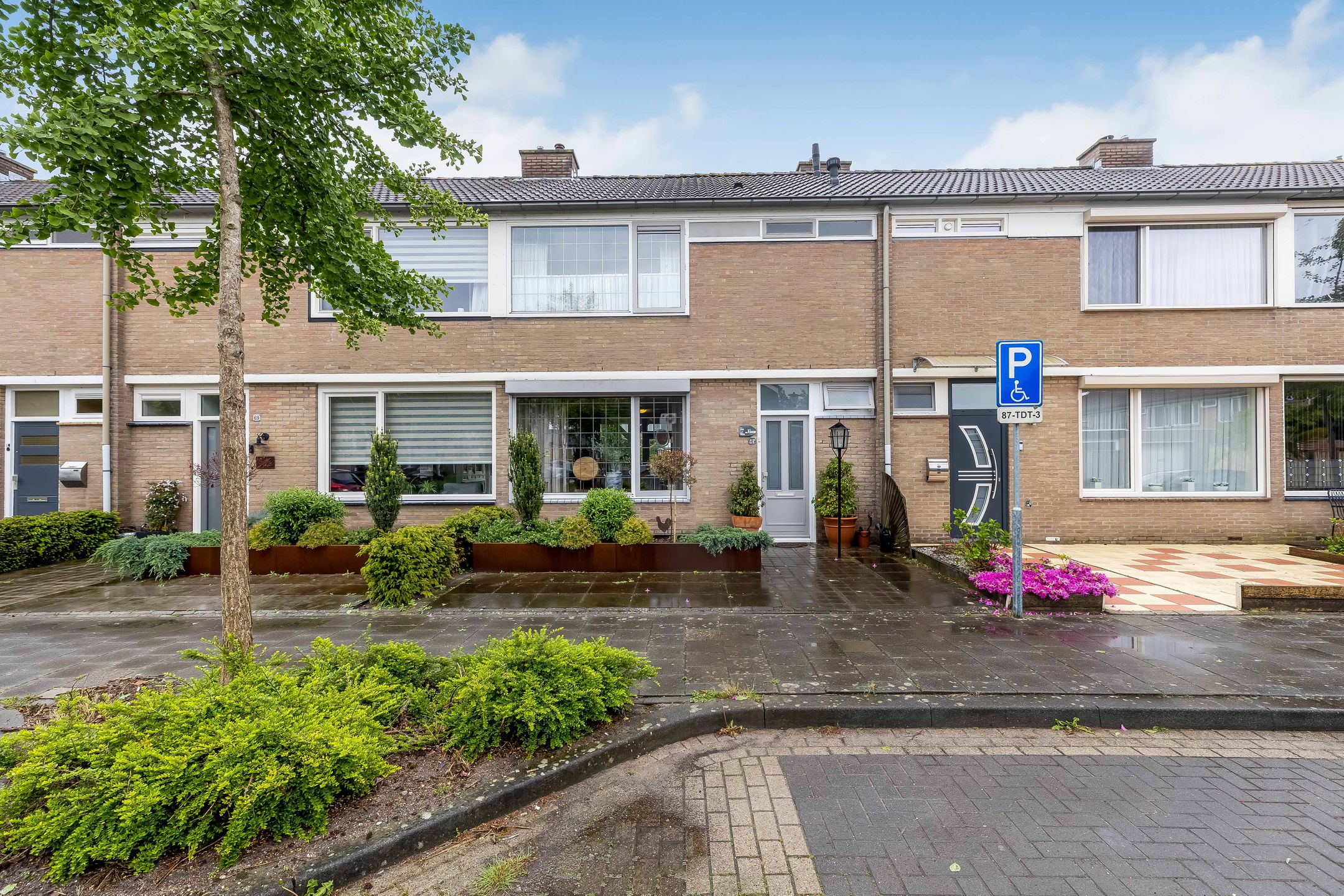 van Graftstraat 67