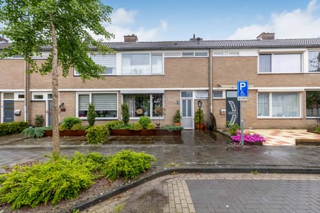 van Graftstraat thumbnail