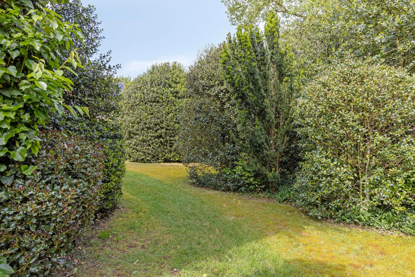Photo 4 of Plutostraat 16