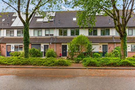 De Gaullesingel thumbnail