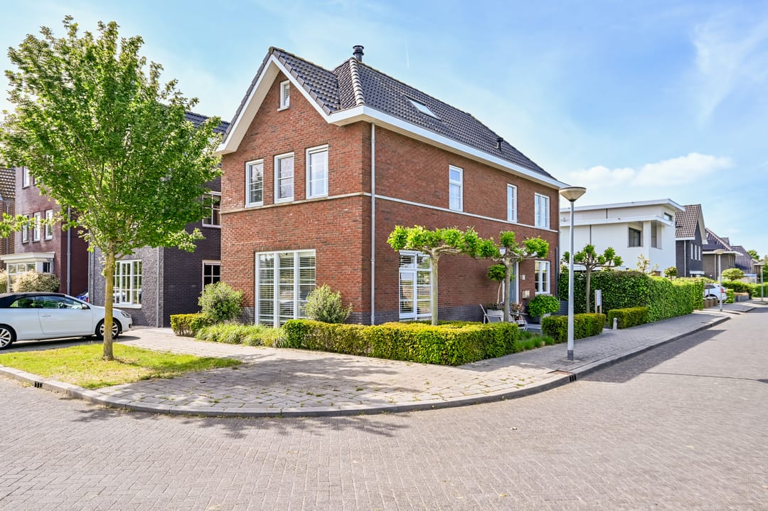 Foto 1 van Kroonknoop 1