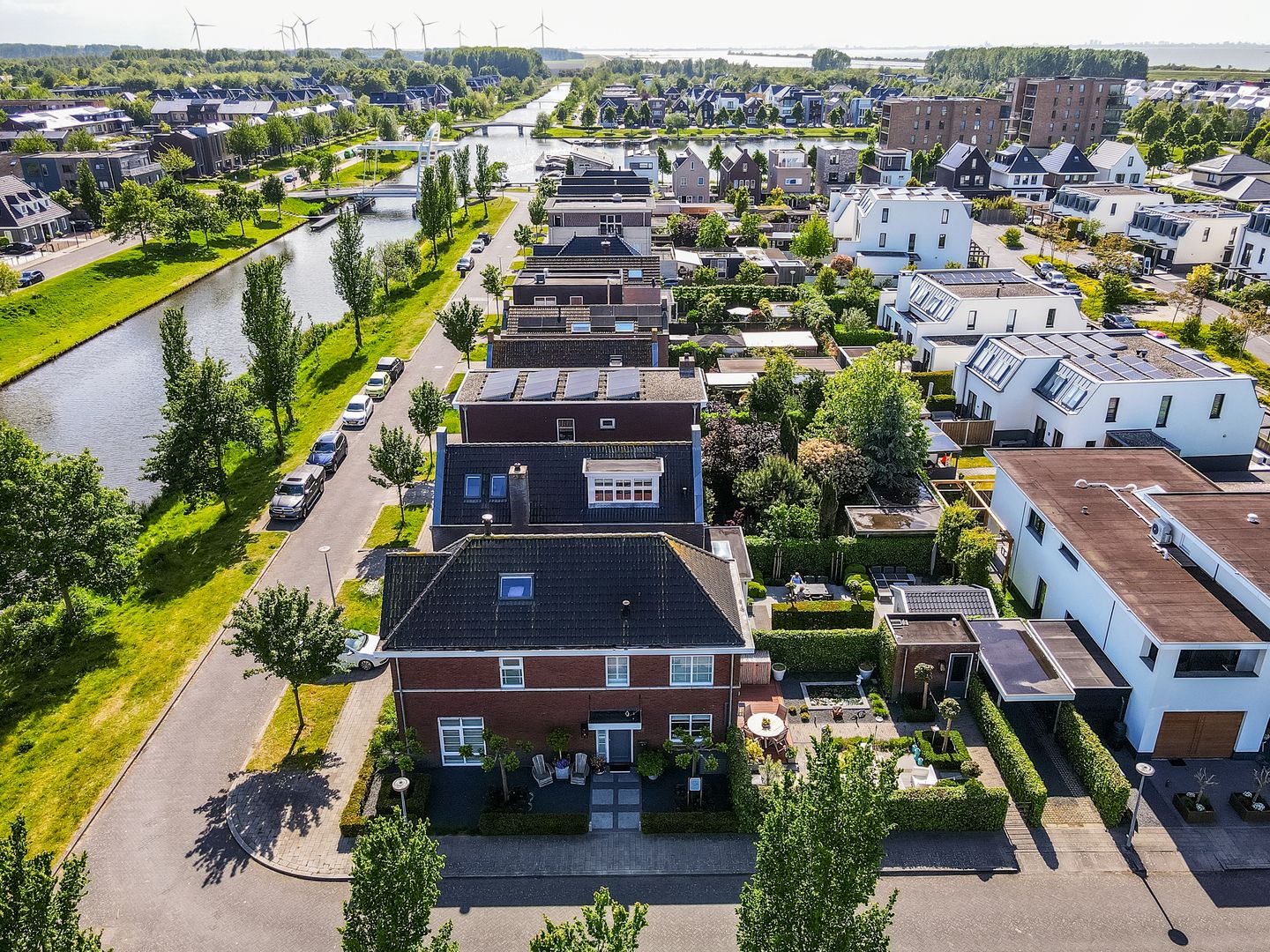 Foto 49 van Kroonknoop 1