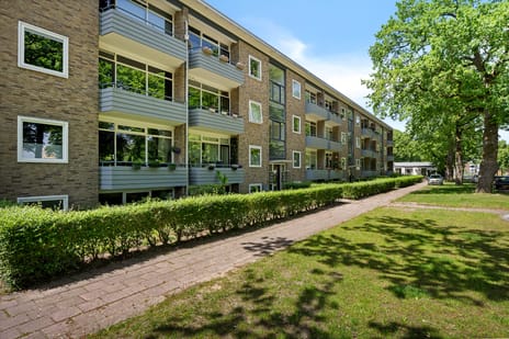 Meerstraat thumbnail