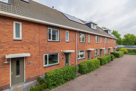 Piet van Damlaan thumbnail