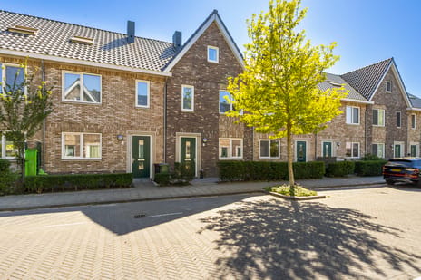 Engelsmanplaat thumbnail