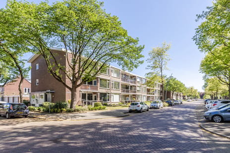 Vrijheidstraat thumbnail